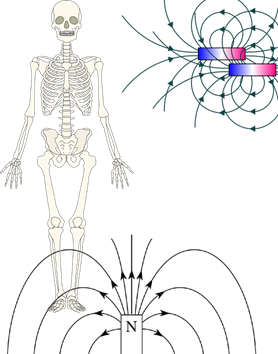 pngwing.com.png